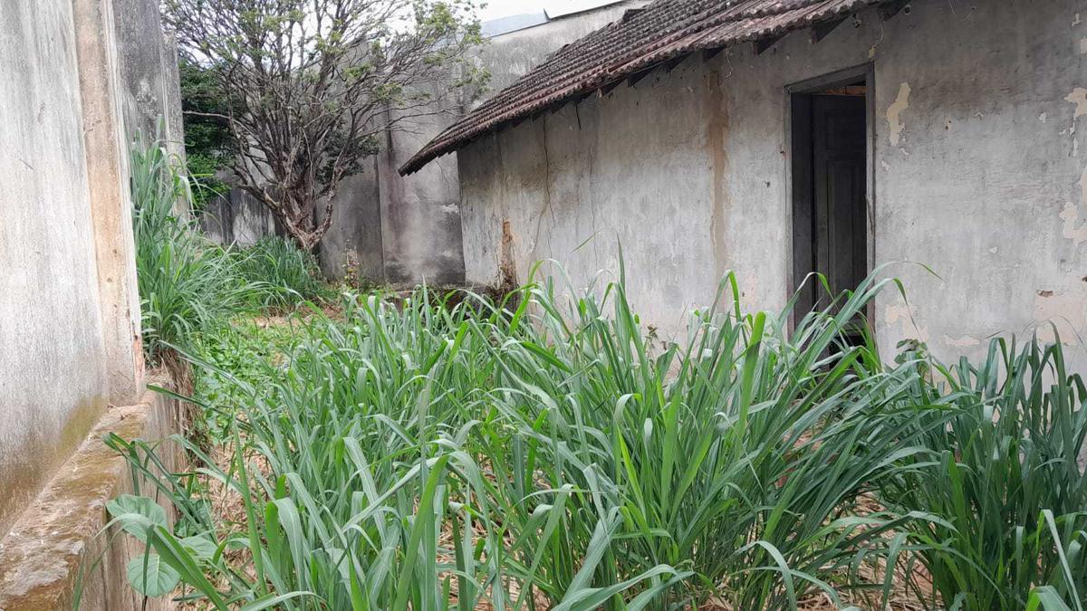 Lote, Nova Suíssa, 0 Quarto, 0 Vaga