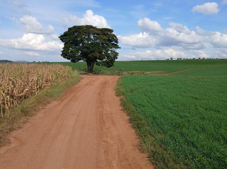 Fazenda, Zona Rural, 3 Quartos, 0 Vaga
