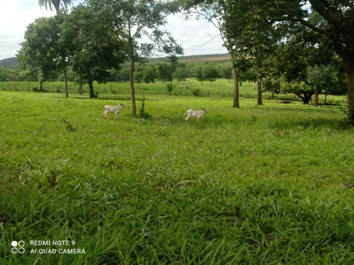 Fazenda, Água Quente