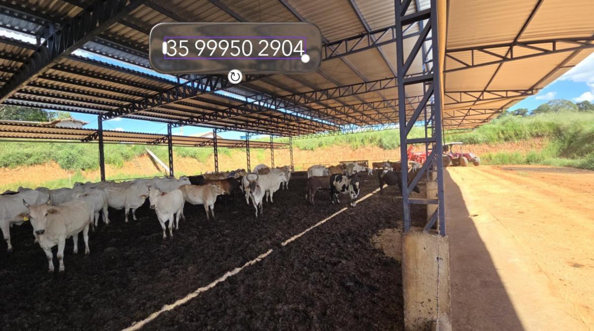 Fazenda, Zona Rural, 3 Quartos, 0 Vaga, 1 Suíte
