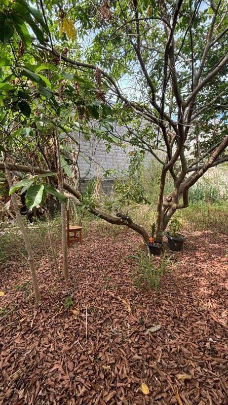 Casa, Boa Esperança, 2 Quartos, 5 Vagas