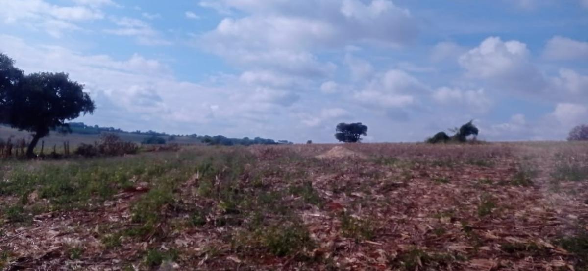 Fazenda, Zona Rural, 3 Quartos, 4 Vagas, 1 Suíte