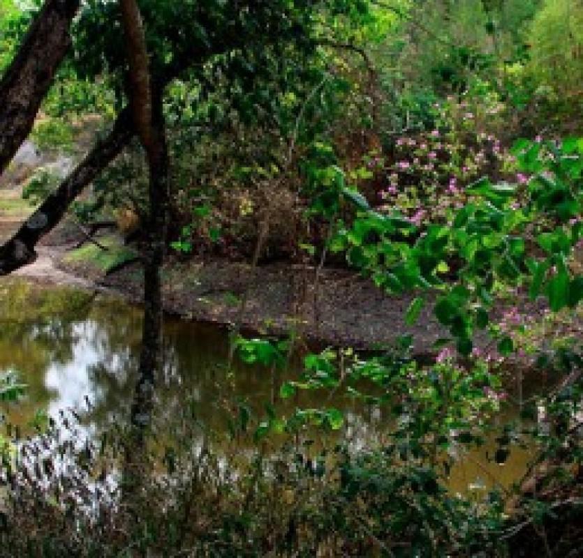 Lote, Parque Ipiranga, 0 Quarto, 0 Vaga