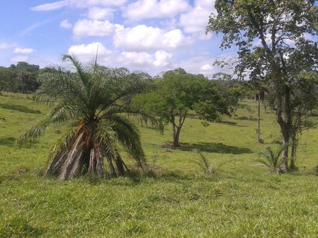 Lote, Sobradinho