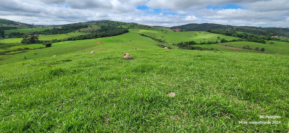Fazenda, Centro, 3 Quartos, 0 Vaga