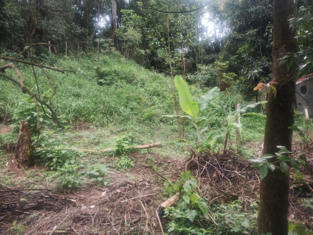 Fazenda, Centro, 0 Quarto, 0 Vaga