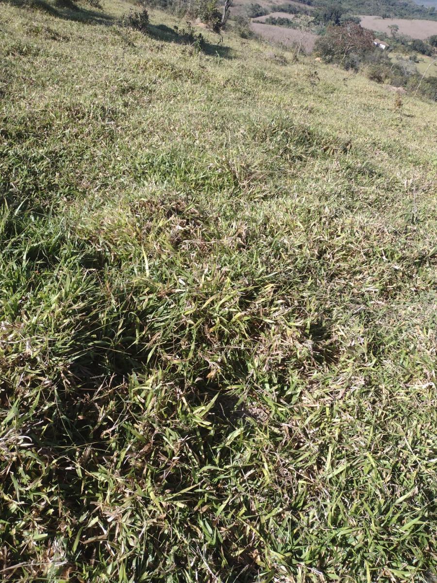 Fazenda, Centro, 1 Quarto, 0 Vaga