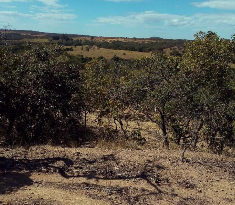 Fazenda, Zona Rural, 0 Quarto, 0 Vaga