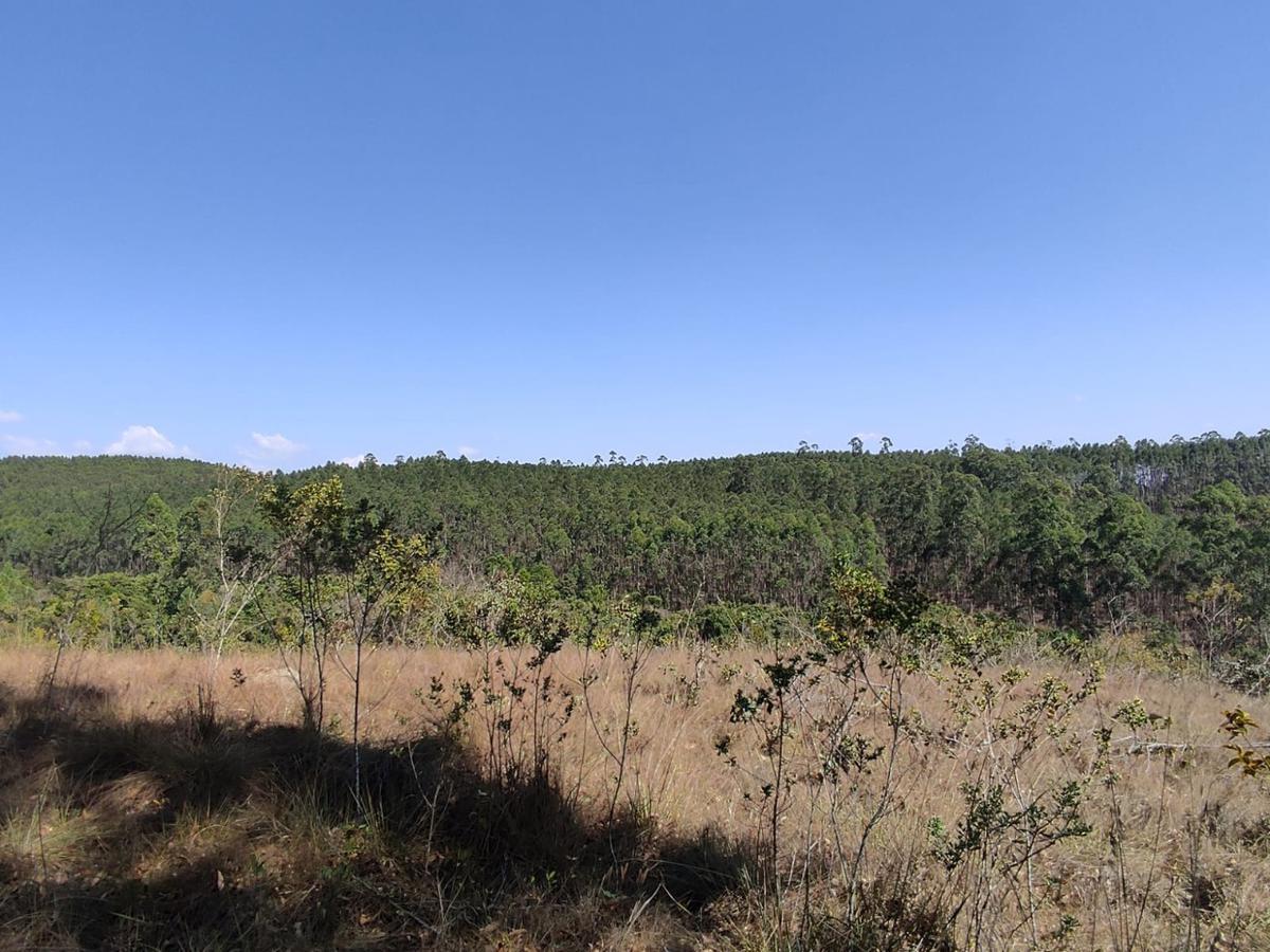 Lote, Penedo, 0 Quarto, 0 Vaga