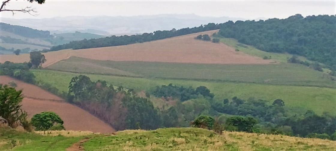 Fazenda, Centro, 0 Quarto, 0 Vaga