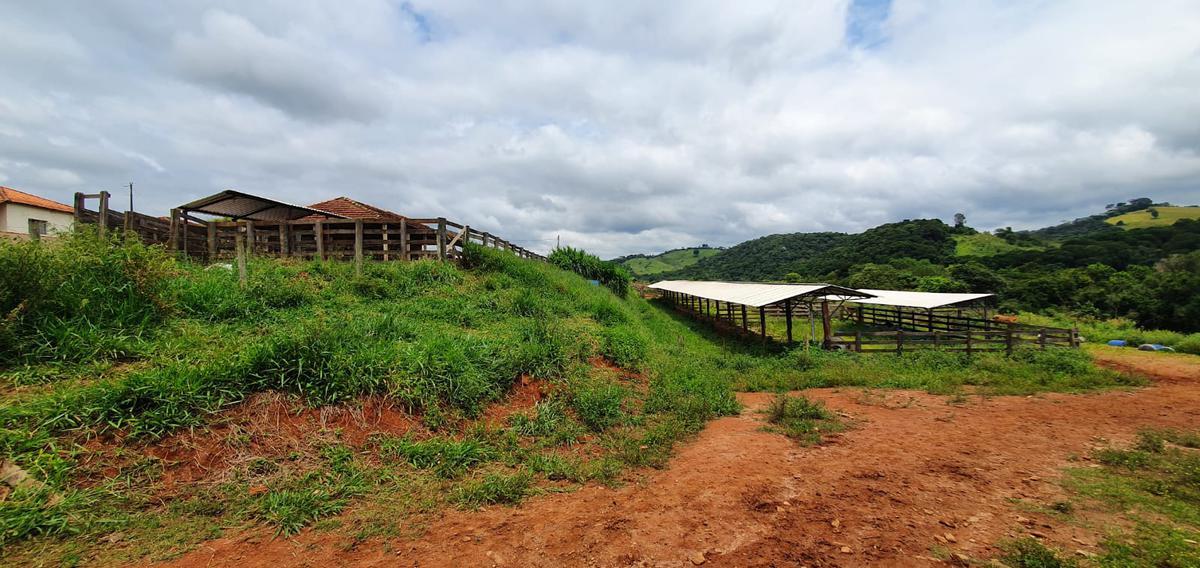 Fazenda, Centro, 4 Quartos, 2 Vagas, 1 Suíte
