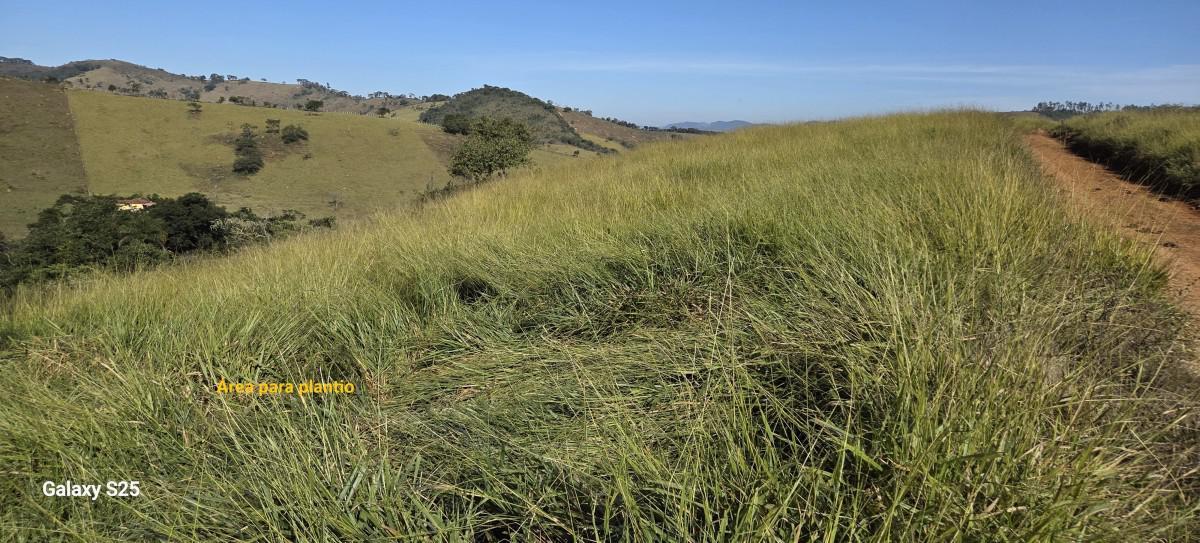 Fazenda, Zona Rural, 0 Quarto, 0 Vaga