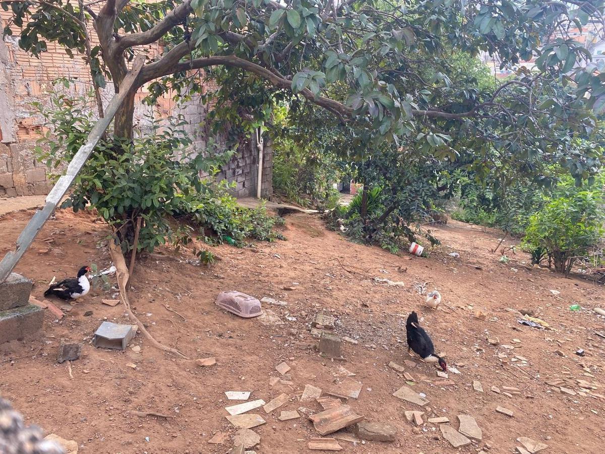 Lote, Três Bicas, 0 Quarto, 0 Vaga