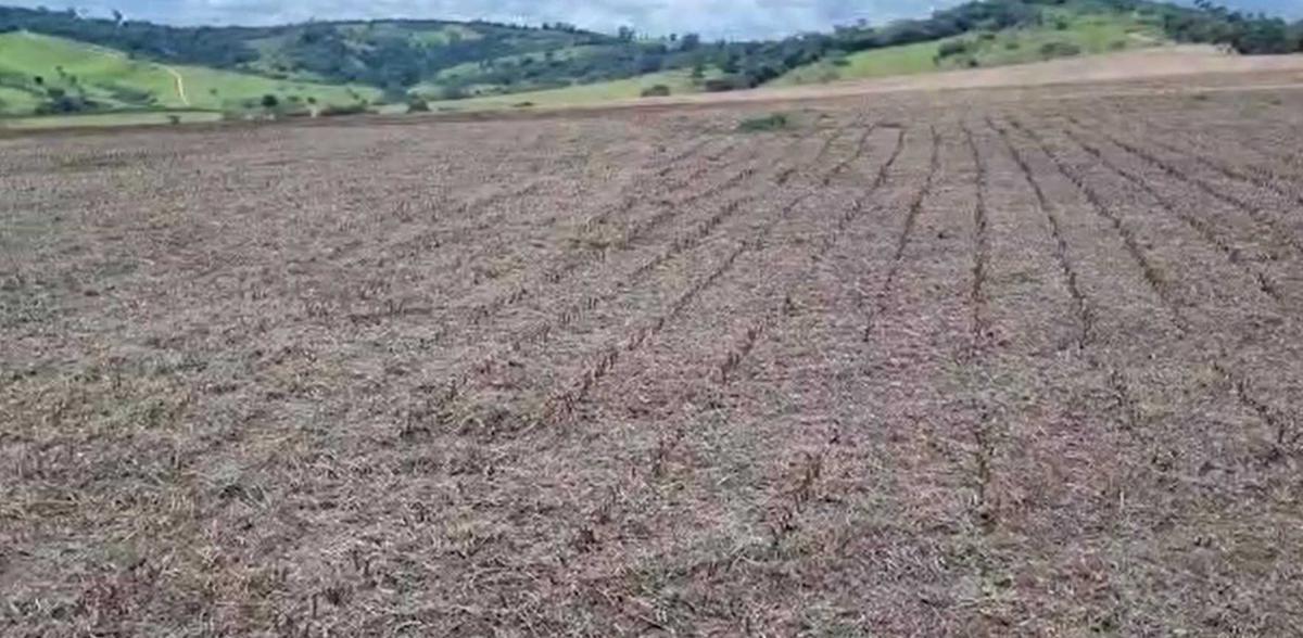 Fazenda, Zona Rural, 3 Quartos, 0 Vaga