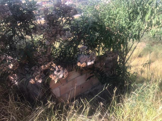 Lote, Jardim Vitória, 0 Quarto, 0 Vaga