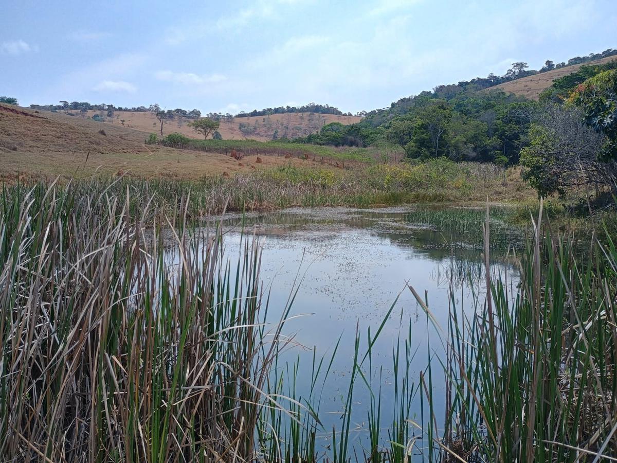 Fazenda, Centro, 3 Quartos, 10 Vagas, 1 Suíte