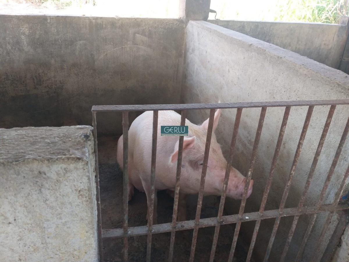 Rural, Urucuia, 3 Quartos, 10 Vagas, 1 Suíte