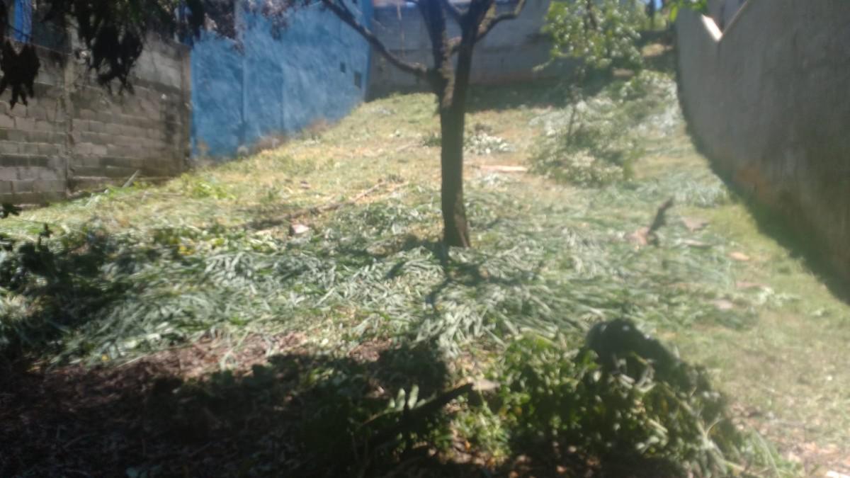 Lote, Parque Xangri-lá, 0 Quarto, 0 Vaga