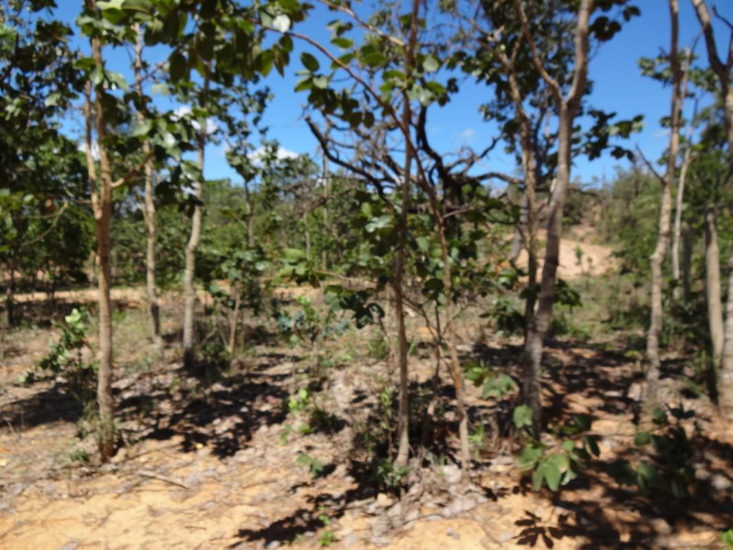 Fazenda, Zona Rural, 1 Quarto, 0 Vaga, 1 Suíte