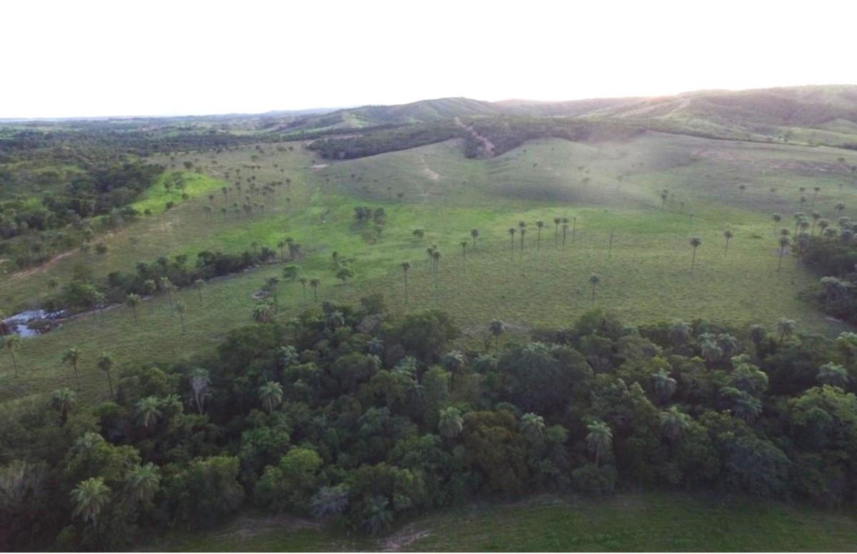 Fazenda, Zona Rural, 6 Quartos, 0 Vaga