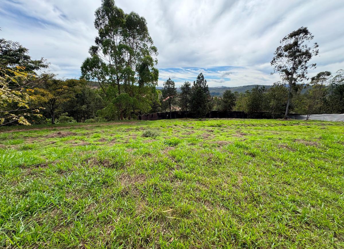 Lote, Alphaville - Lagoa dos Ingleses, 0 Quarto, 0 Vaga