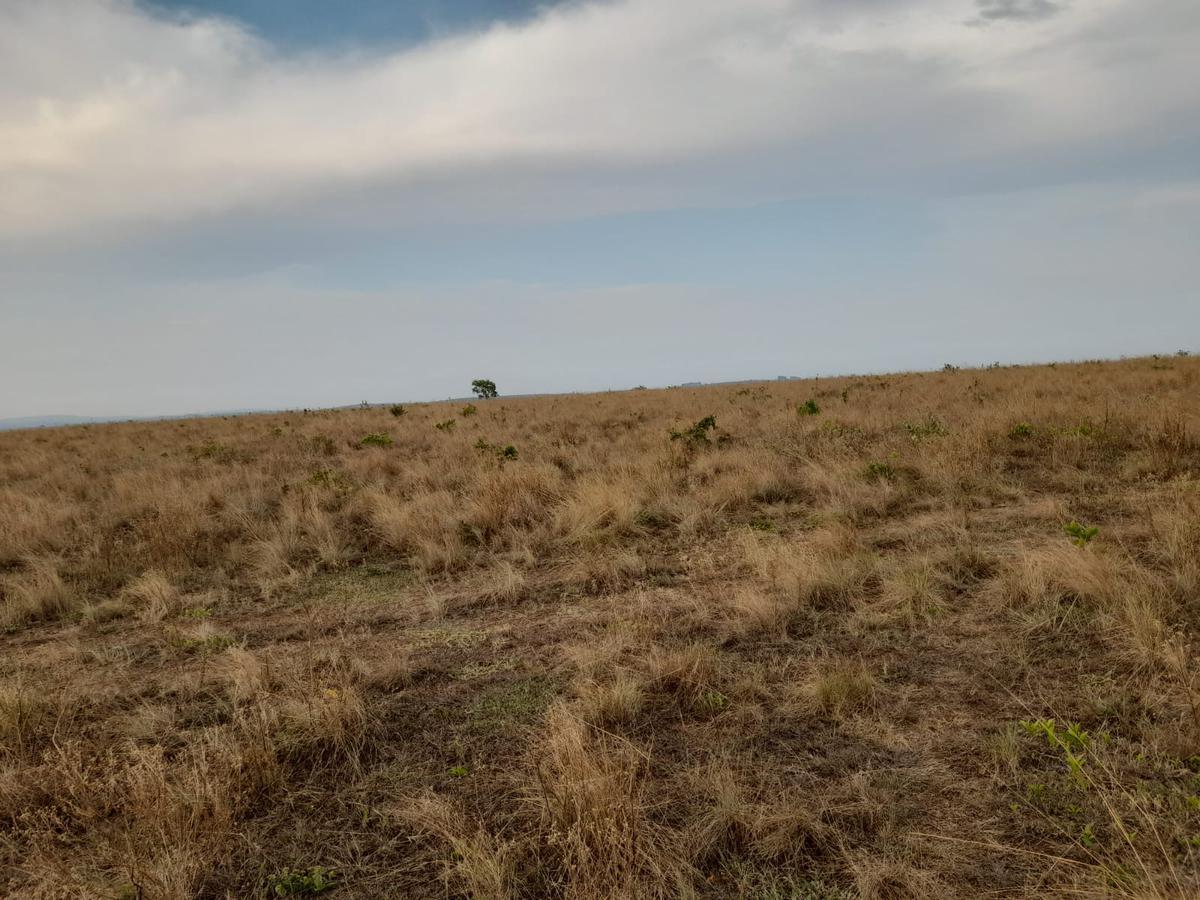 Fazenda, Zona Rural, 0 Quarto, 0 Vaga