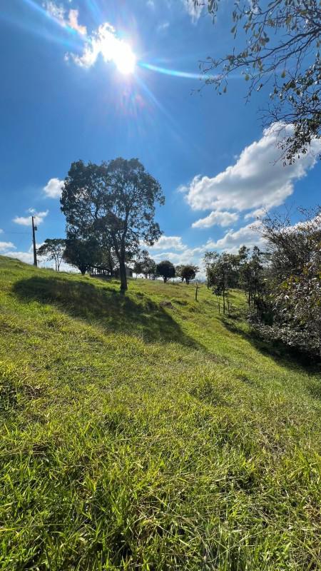Fazenda, Centro, 0 Quarto, 0 Vaga