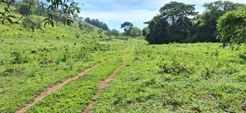 Lote, Zona Rural, 2 Quartos