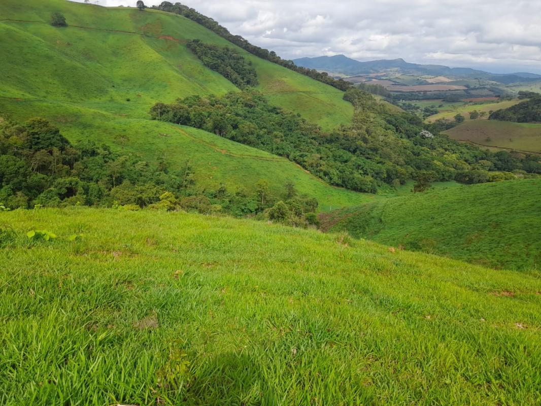 Fazenda, Zona Rural, 3 Quartos, 0 Vaga