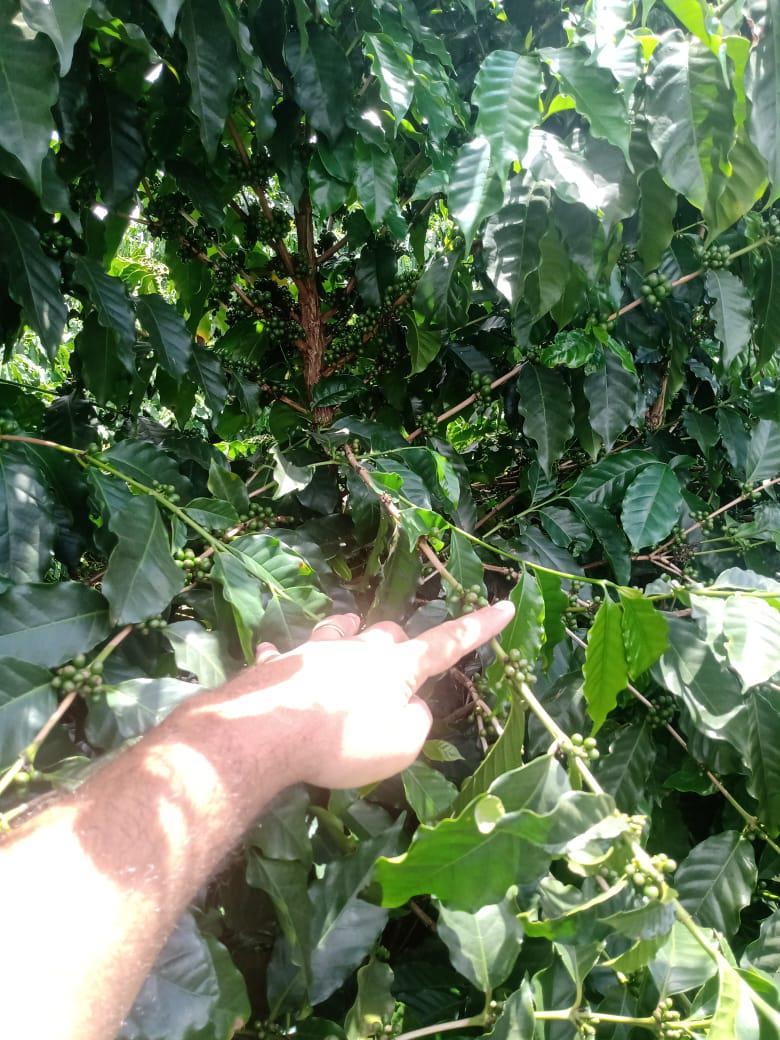 Fazenda, Zona Rural, 0 Quarto, 0 Vaga