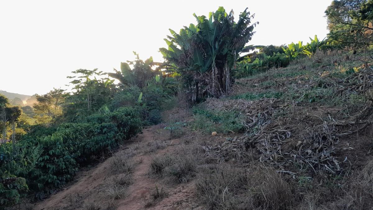Fazenda, Zona Rural, 0 Quarto, 0 Vaga
