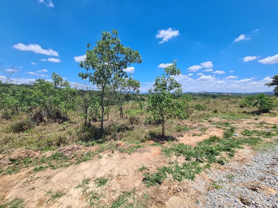 Lote, Novo Retiro, 0 Quarto, 0 Vaga