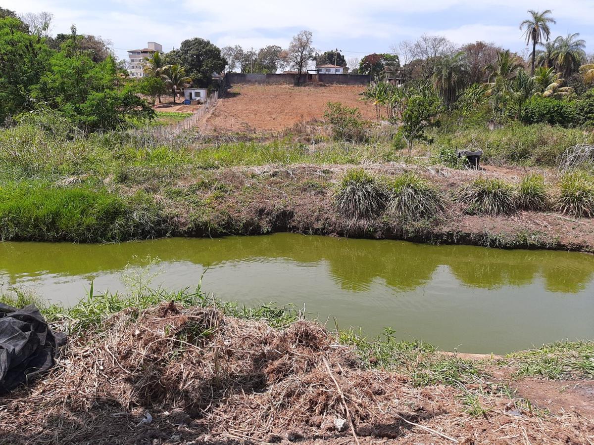 Lote, Manoa, 0 Quarto, 0 Vaga