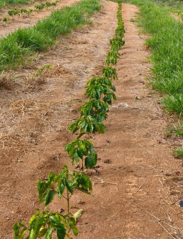 Fazenda, Zona Rural, 0 Quarto, 0 Vaga