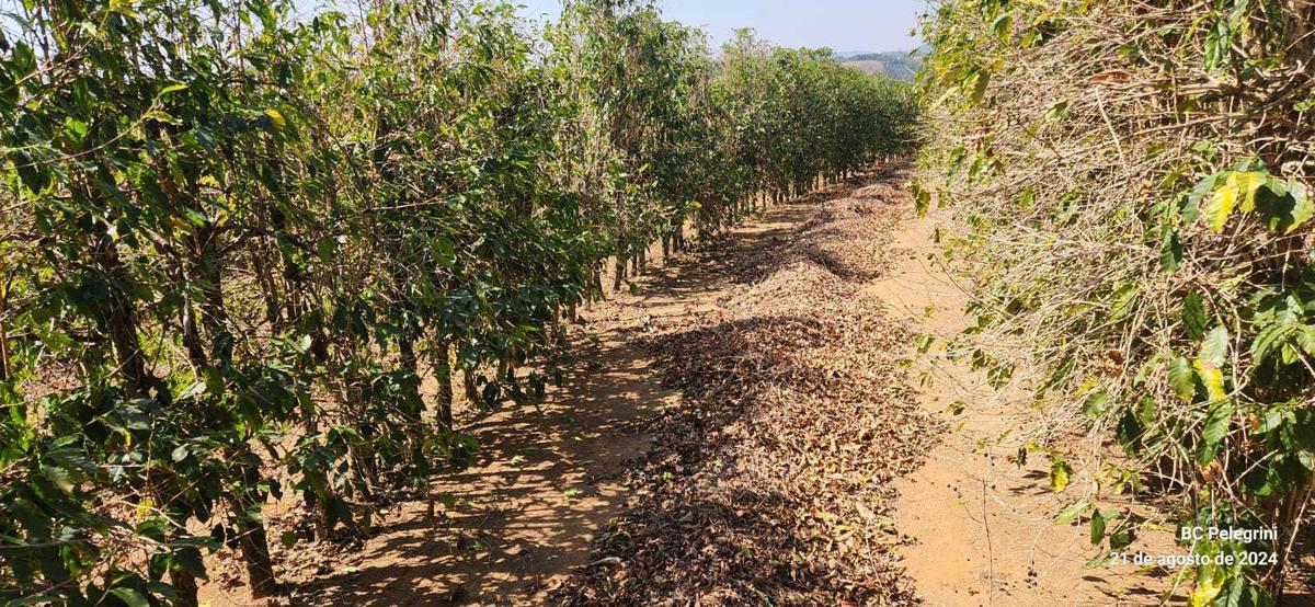 Fazenda, Zona Rural, 4 Quartos, 0 Vaga