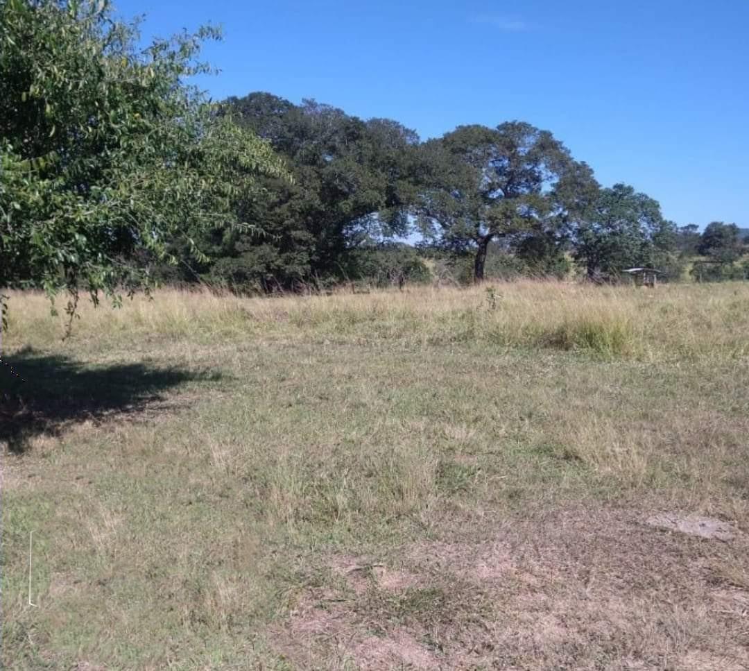 Fazenda, Zona Rural, 3 Quartos, 0 Vaga