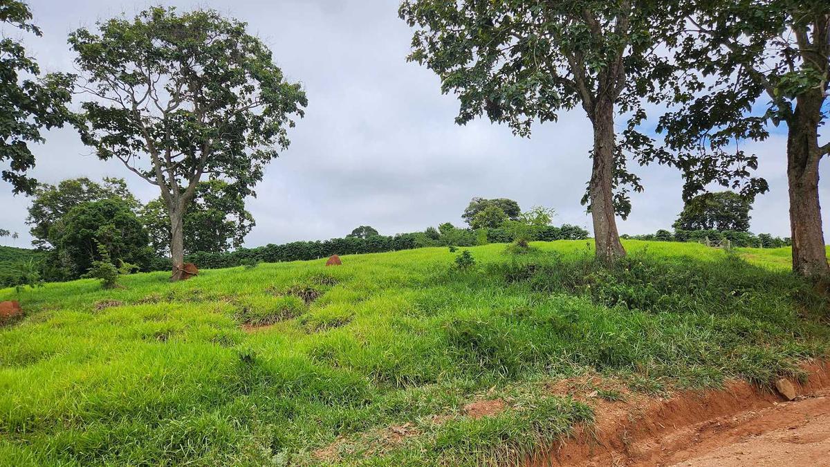 Fazenda, Zona Rural, 1 Quarto, 0 Vaga