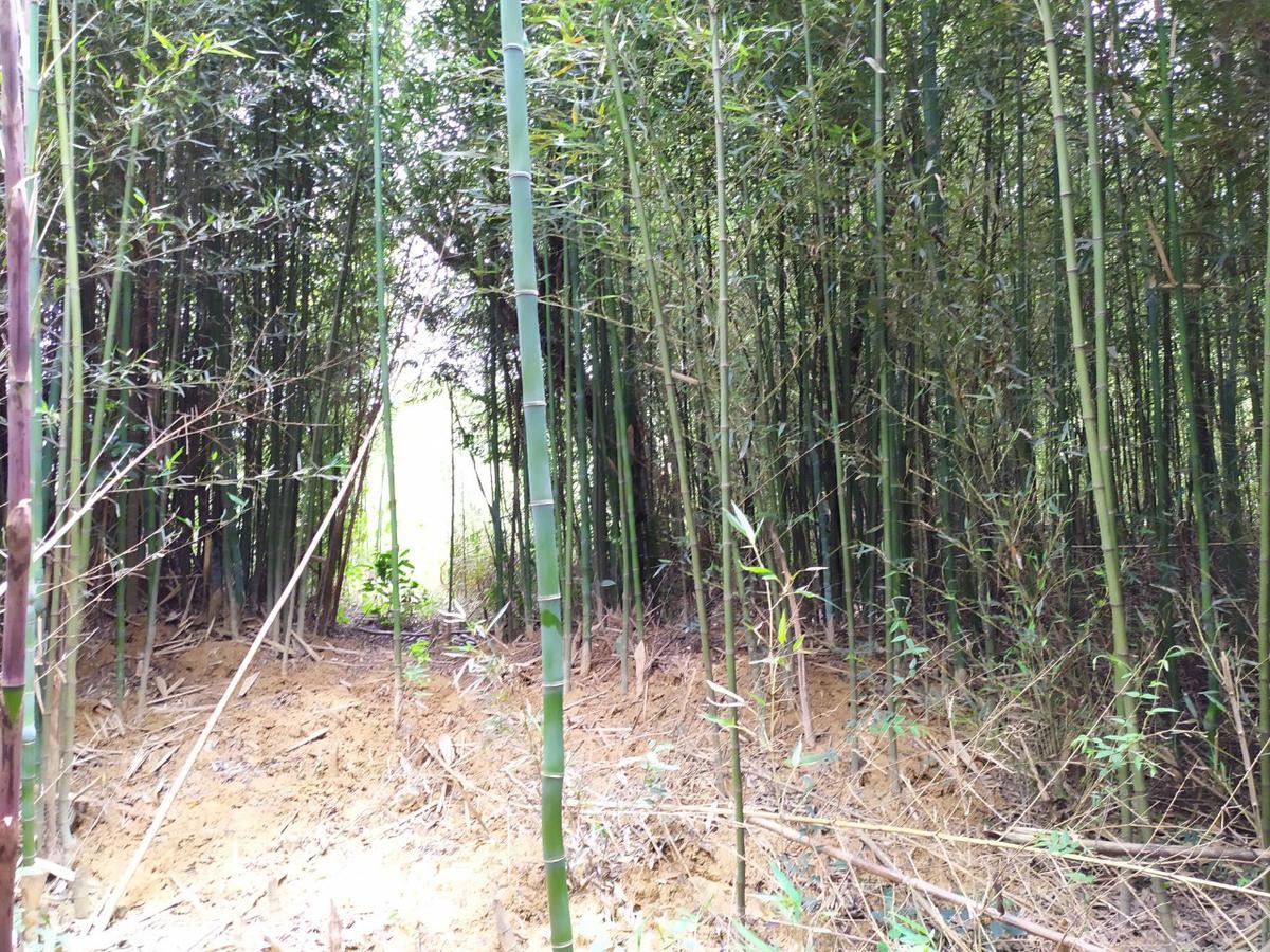 Fazenda, Centro, 1 Quarto, 0 Vaga