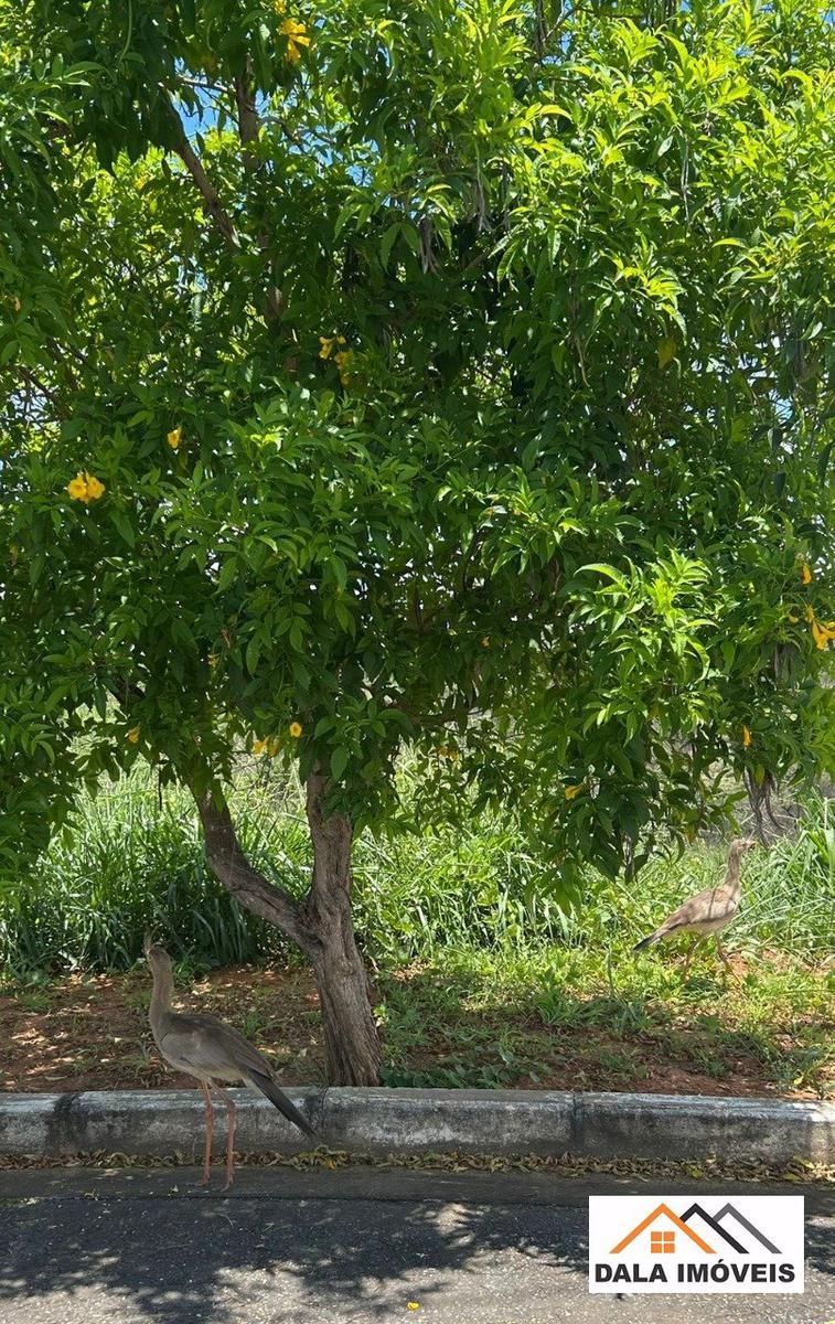 Lote, Lagoinha de Fora, 0 Quarto, 0 Vaga