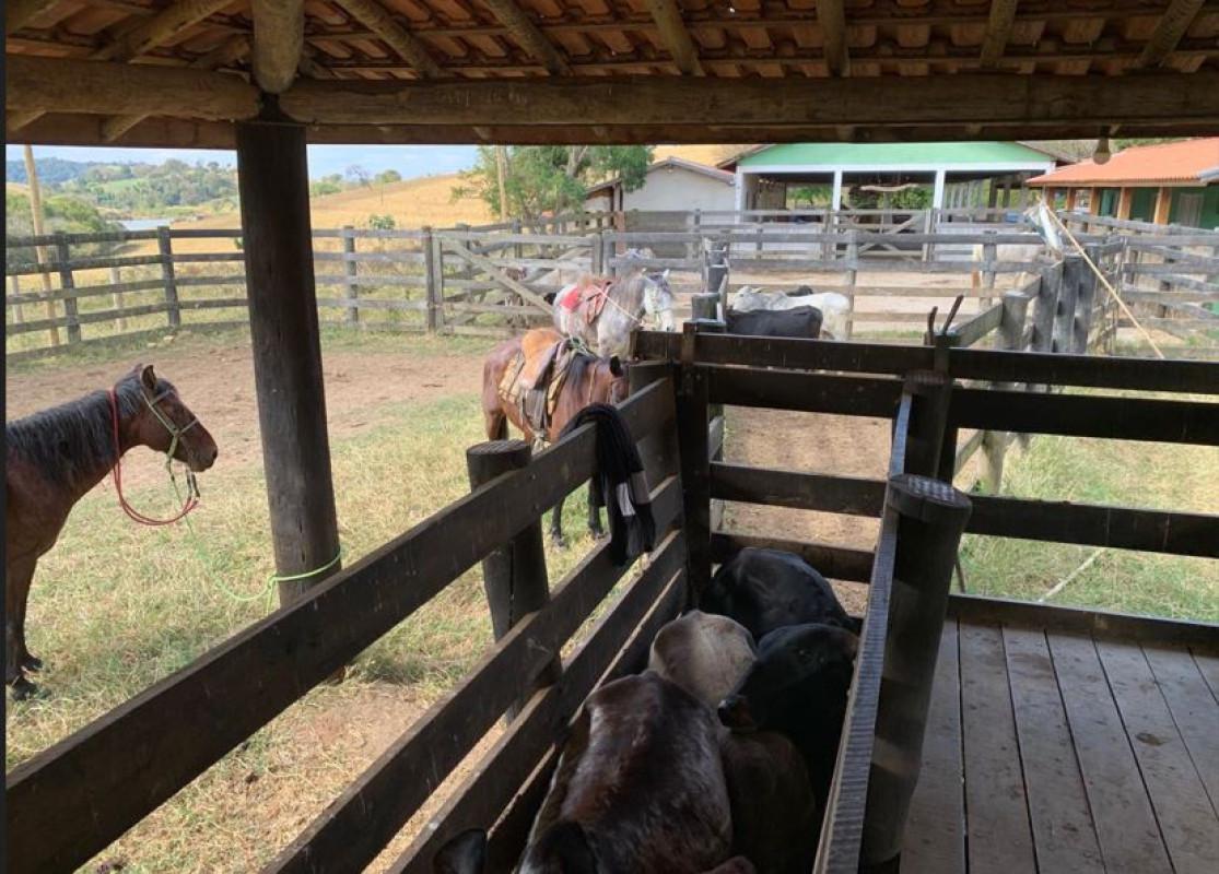 Fazenda, Zona Rural, 3 Quartos, 0 Vaga