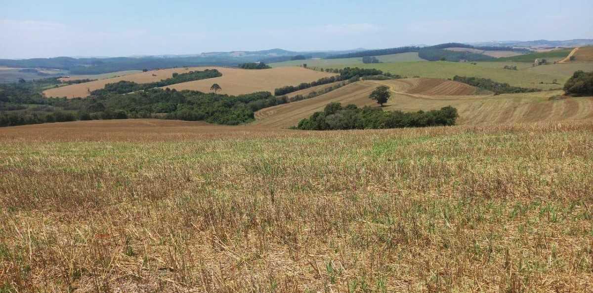 Fazenda, Centro, 0 Quarto, 0 Vaga