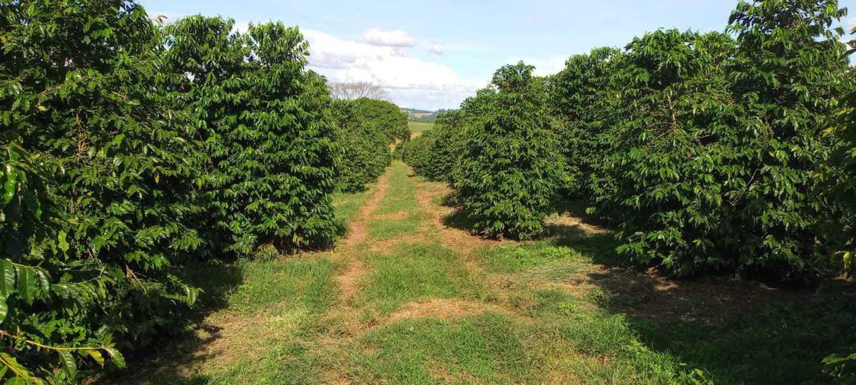 Fazenda, Zona Rural, 3 Quartos, 0 Vaga