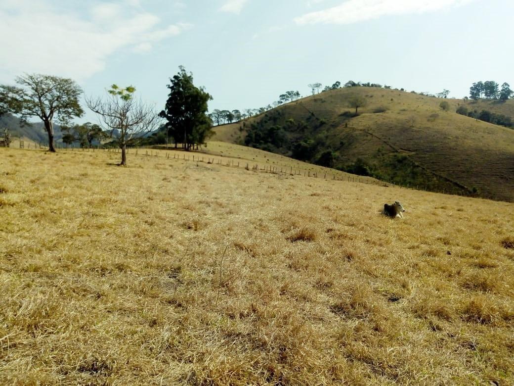 Fazenda, Centro, 1 Quarto, 1 Vaga, 1 Suíte