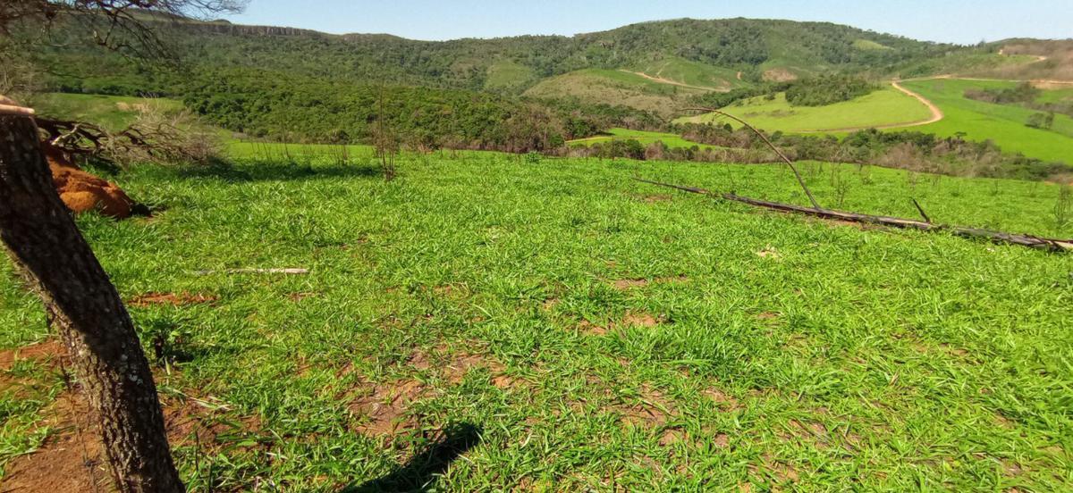 Fazenda, Zona Rural, 0 Quarto, 0 Vaga