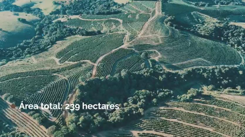 Fazenda, Zona Rural, 0 Quarto, 0 Vaga