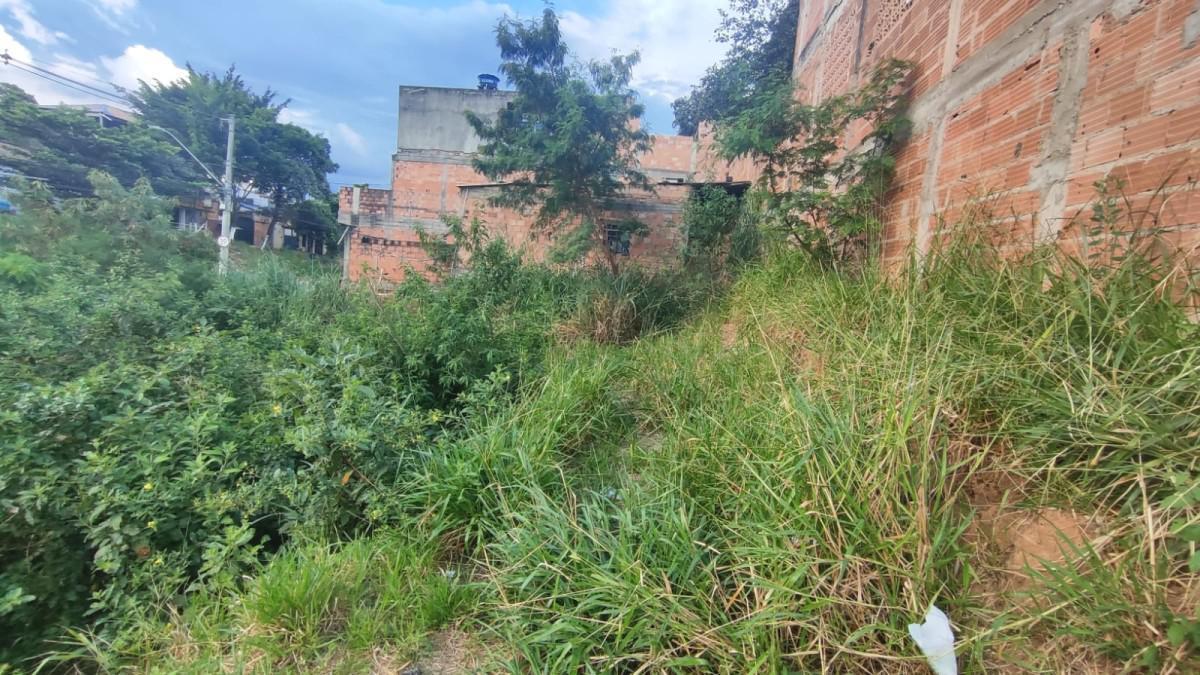 Lote, Morada Nova, 0 Quarto, 0 Vaga