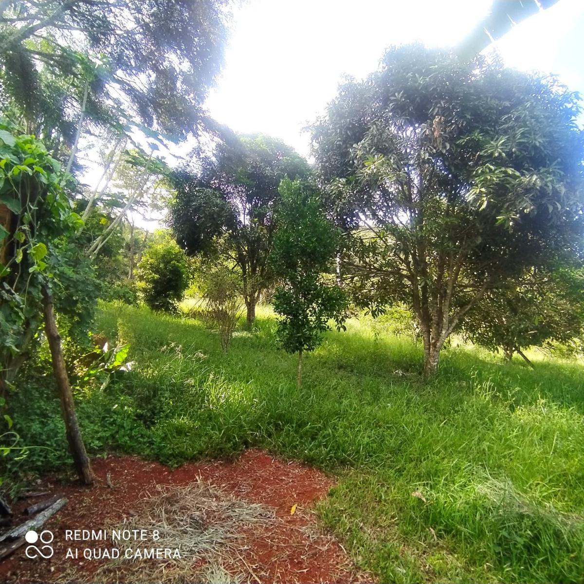 Fazenda, Zona Rural, 3 Quartos, 5 Vagas