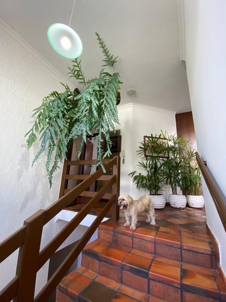 Casa, Castelo, 5 Quartos, 4 Vagas, 1 Suíte