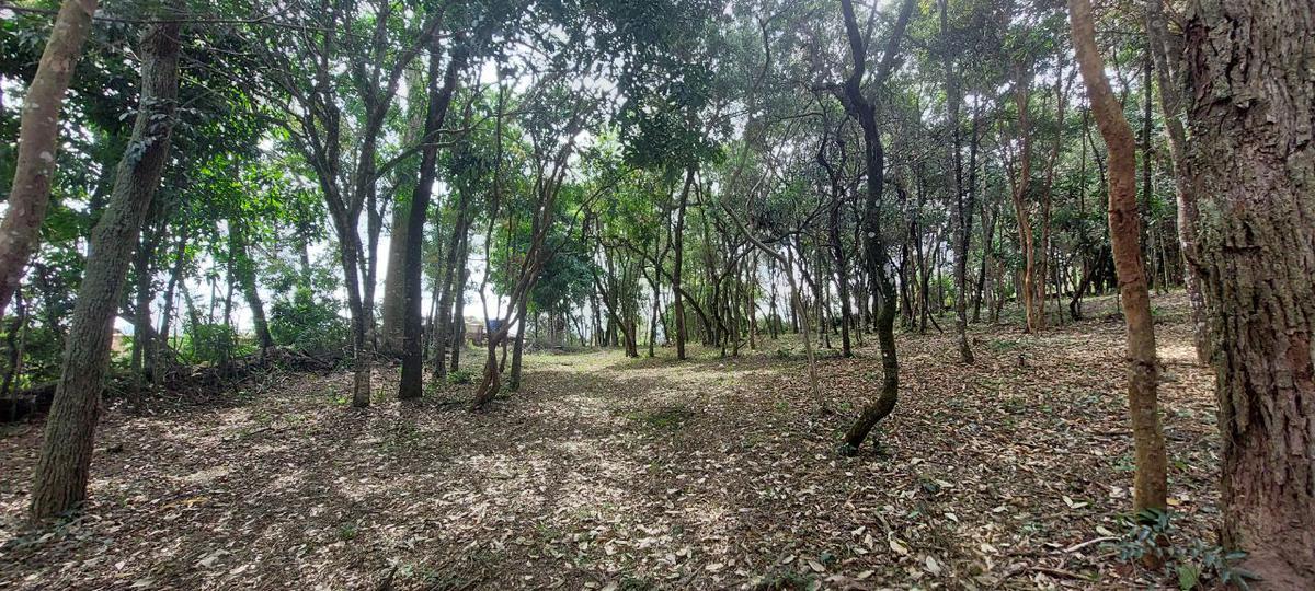 Lote, Acurui, 0 Quarto, 0 Vaga
