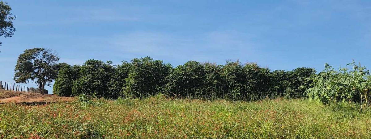 Fazenda, Zona Rural, 1 Quarto, 0 Vaga